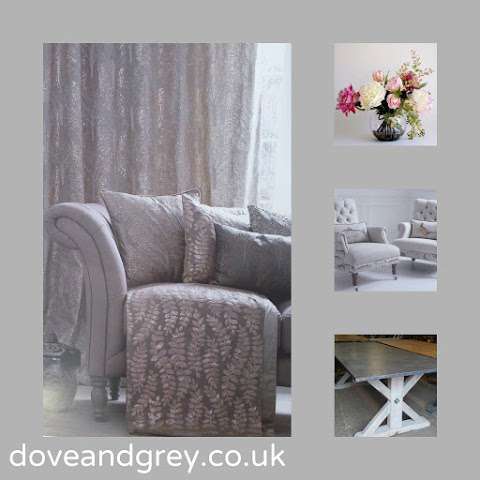 Dove & Grey photo